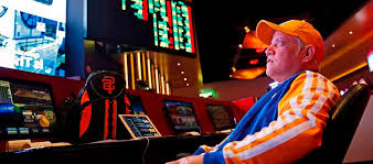 Зеркало Casino SpinCity